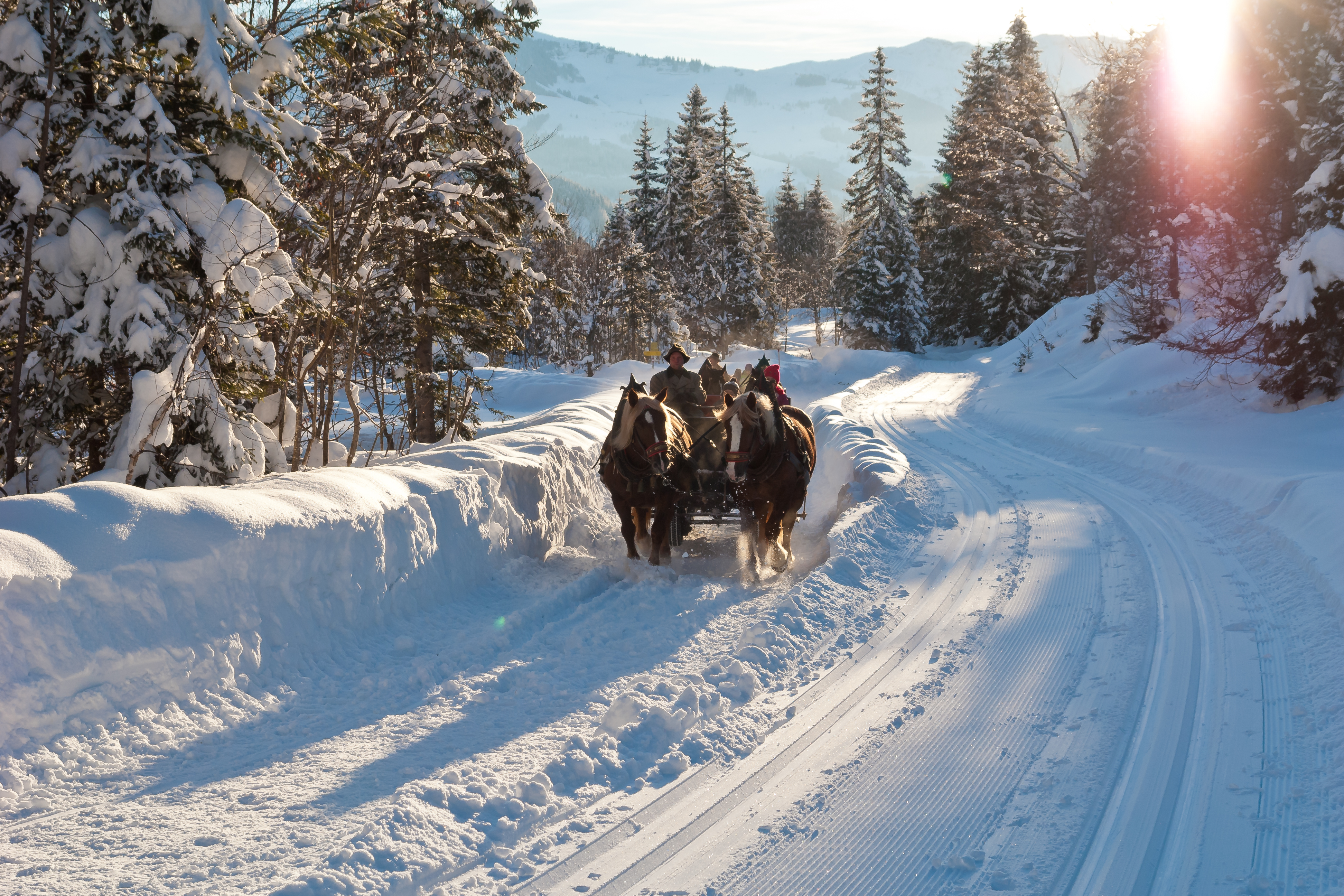 pferdekutschenfahrt-in-der-region-hochkoenig.jpg